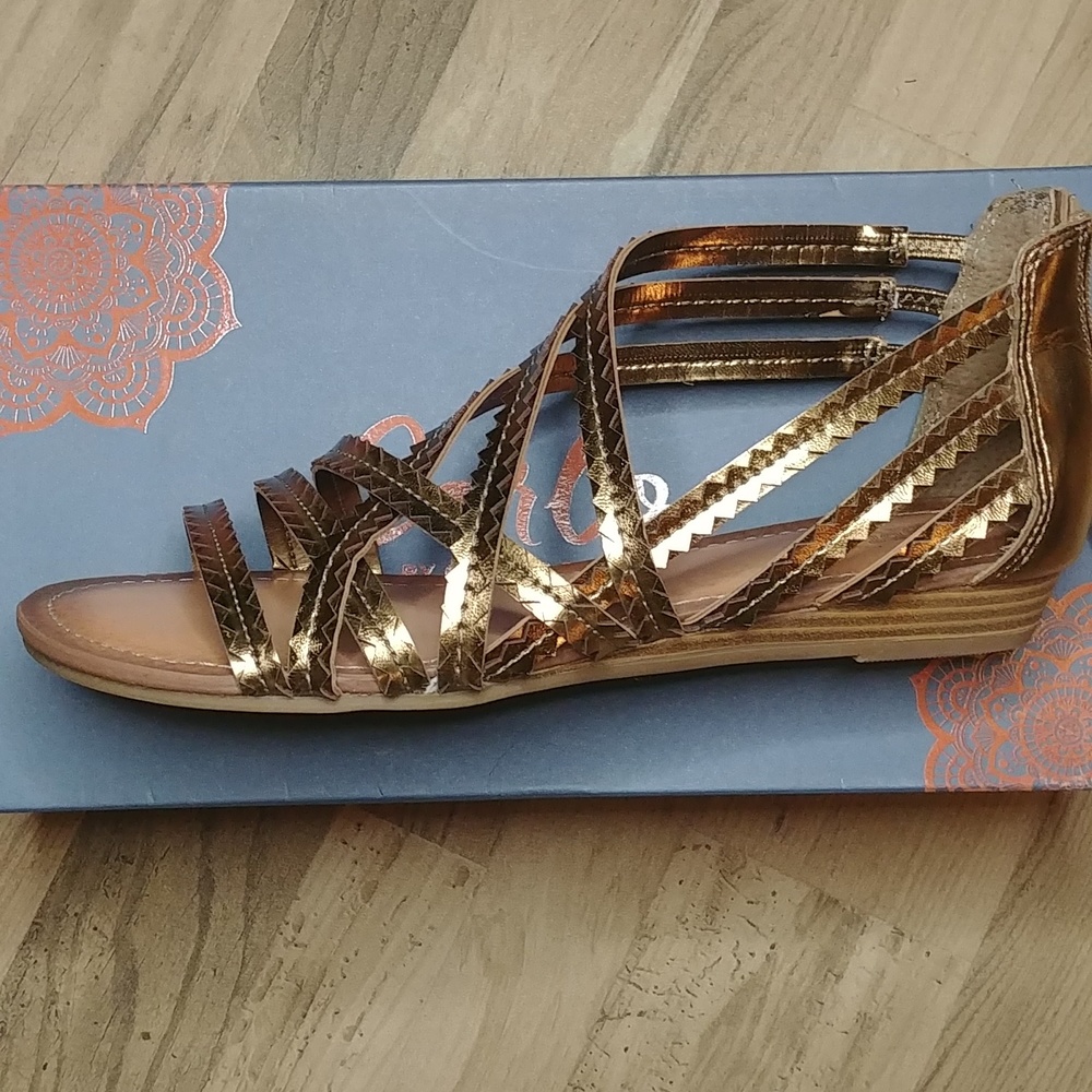 NIB Carlos by Carlos Santana Bronze Gladiator Sandals 8